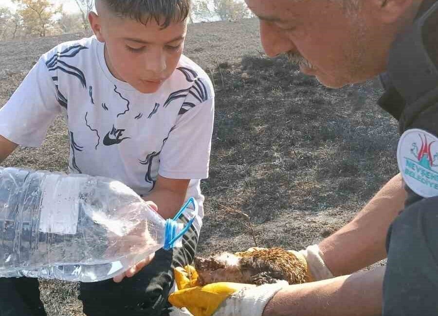 Nevşehir’de meydana gelen yangın, otluk alandan başlayıp rüzgarın etkisiyle bağ