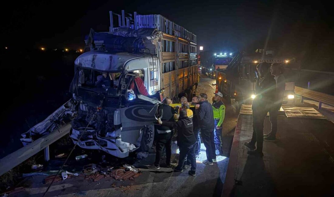 Afyonkarahisar’da meydana gelen trafik kazasında, iki kamyonun çarpışması sonucunda bir