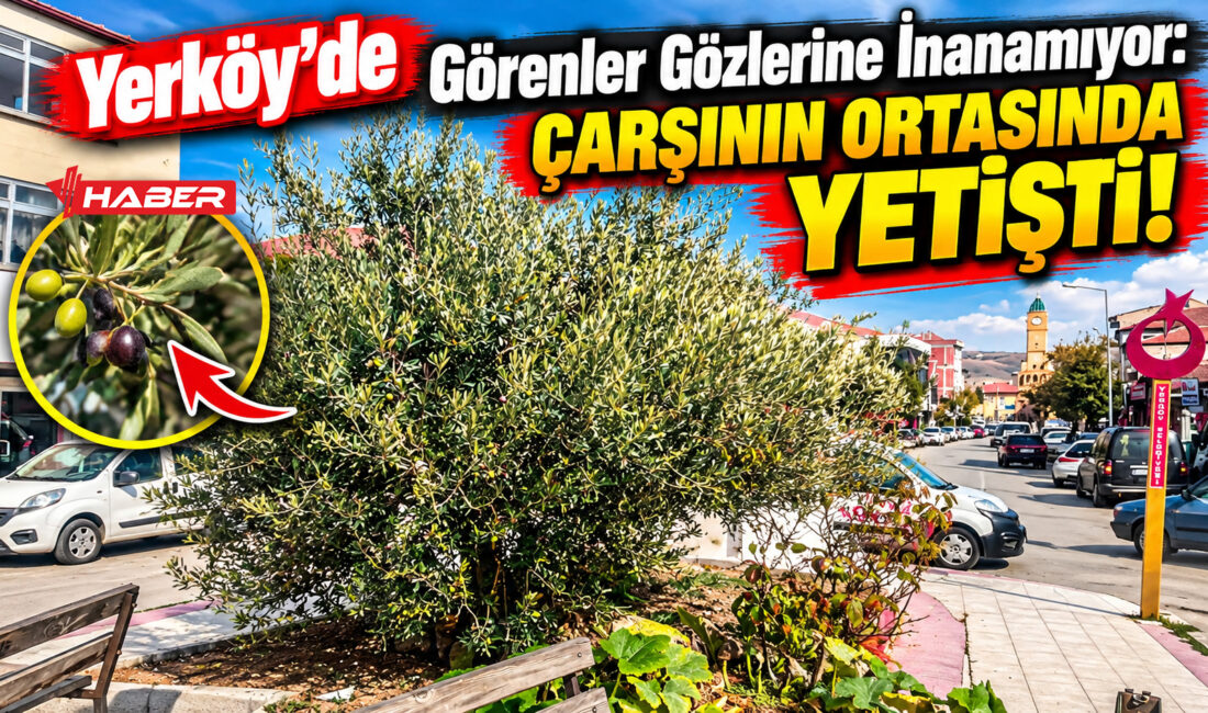 Yozgat’ın mikroklima özelliğiyle bilinen en sıcak ilçesi Yerköy’de, Akdeniz ve