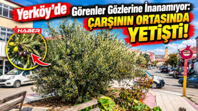 Yozgat’ın mikroklima özelliğiyle bilinen en sıcak ilçesi Yerköy’de, Akdeniz ve