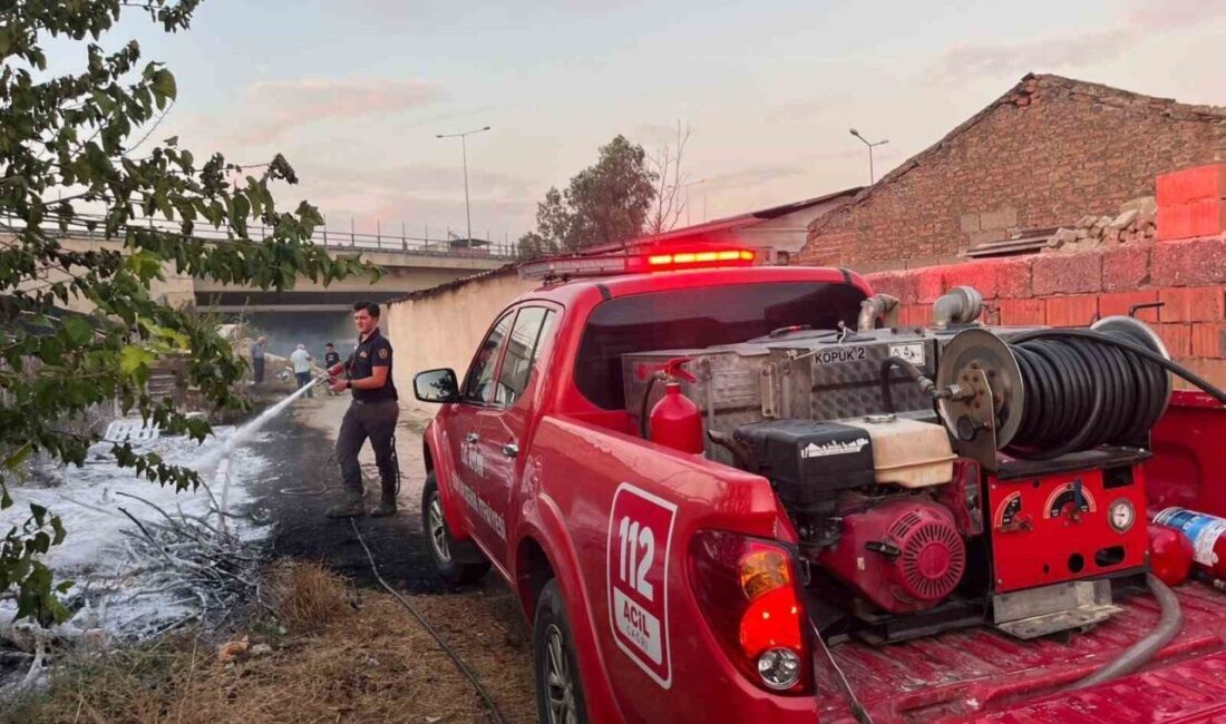 Aydın’ın Efeler ilçesinde bulunan otluk alanda çıkan ve rüzgarın etkisiyle