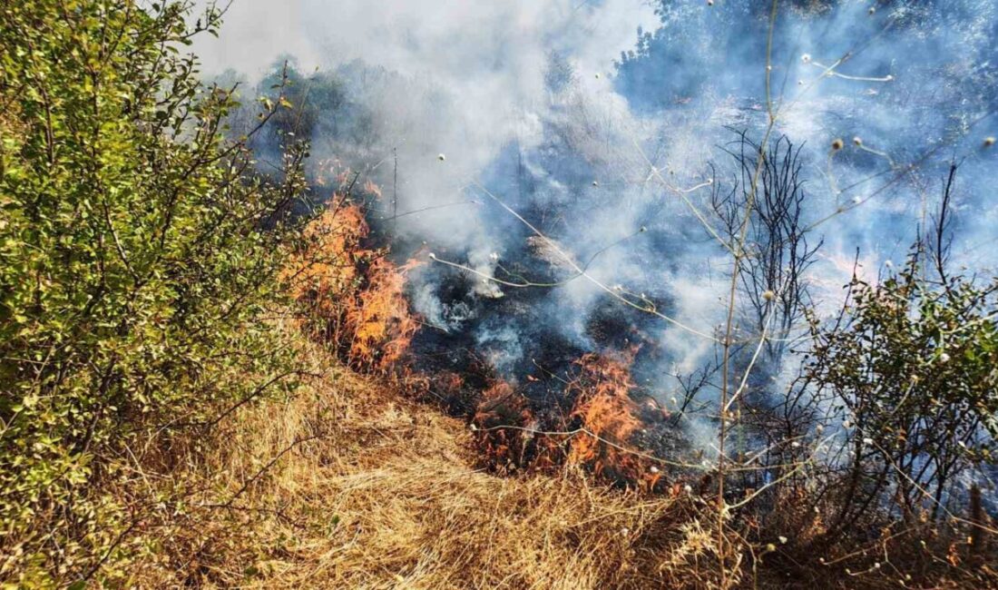 Manisa’nın Demirci ilçesinde, Akdere Mahallesi Güzpınar mevkiinde henüz bilinmeyen bir