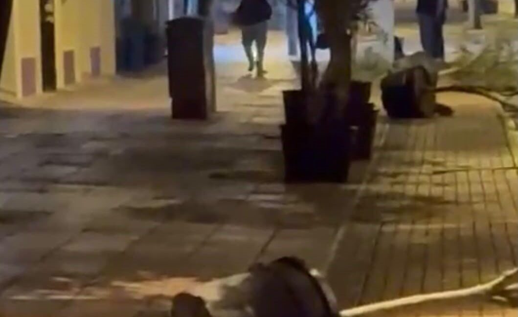 Eskişehir’de, İsmet İnönü Caddesi’nde gece ilerleyen bir şahsın yol kenarındaki