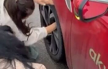 Bir kedinin ani bir şekilde ana caddeye çıkmasıyla, sürücülerin hızlarını