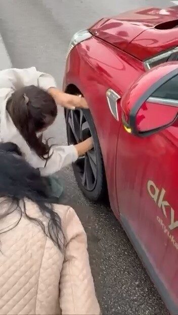 Bir kedinin ani bir şekilde ana caddeye çıkmasıyla, sürücülerin hızlarını