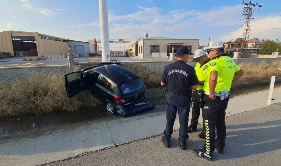 Karaman’da bir kadın sürücü, yolda karşısına çıkan köpeğe çarpmamak için