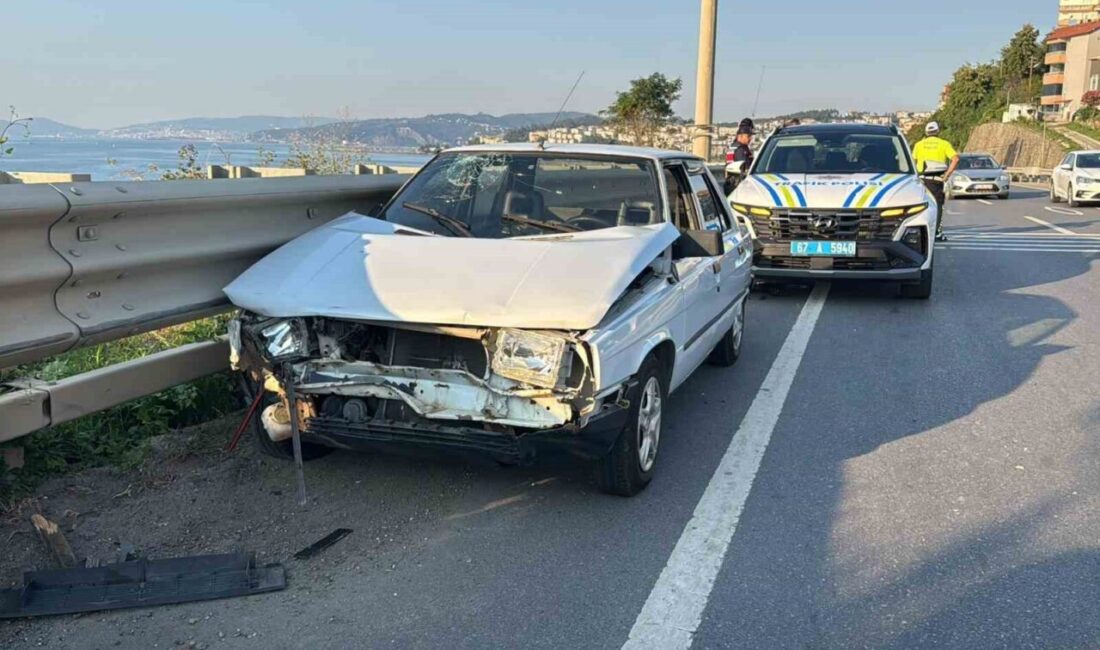 Alaplı ilçesinde meydana gelen bir trafik kazasında, bir köpeğe çarpmamak