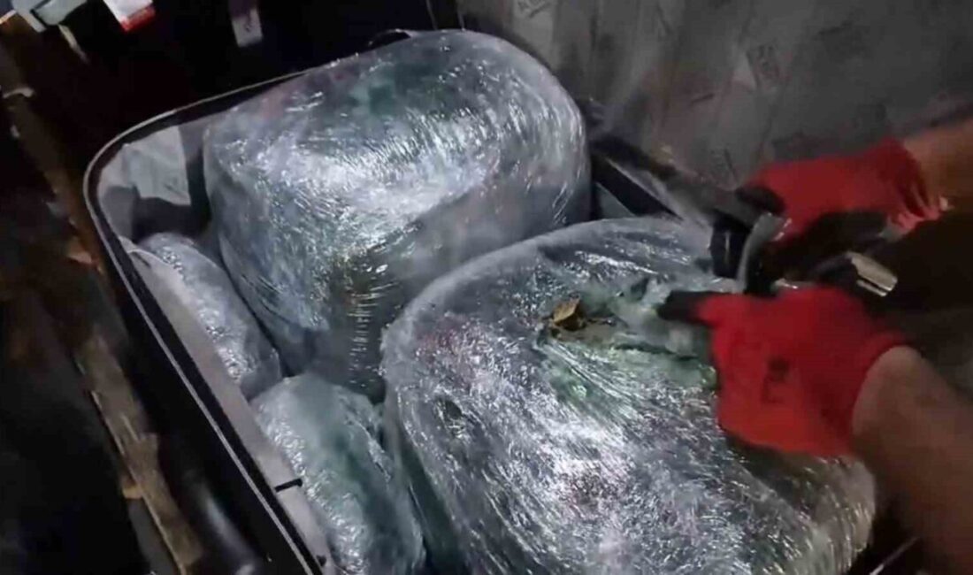 Şanlıurfa’da bir yolcu otobüsünün bagaj kısmında 17 kilo 300 gram