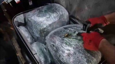 Şanlıurfa’da bir yolcu otobüsünün bagaj kısmında 17 kilo 300 gram