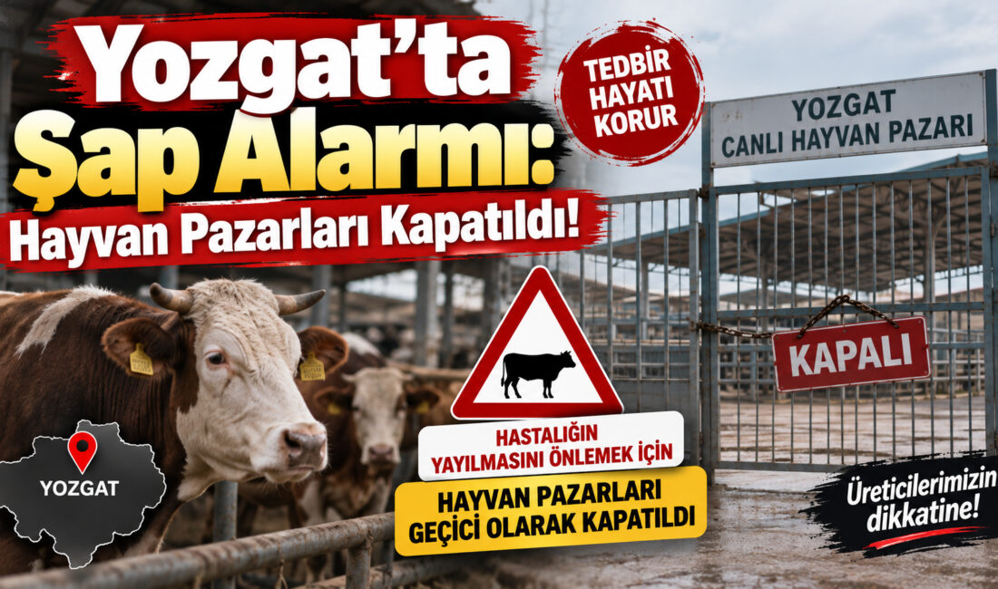 Yozgat İl Tarım ve Orman Müdürlüğü, çevre illerde görülen şap