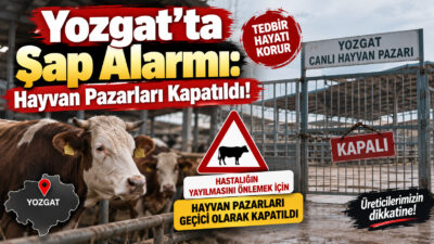 Yozgat İl Tarım ve Orman Müdürlüğü, çevre illerde görülen şap