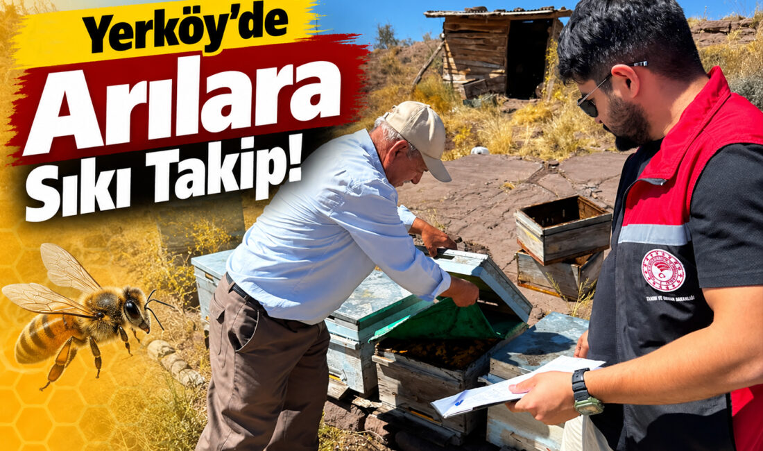 Yerköy İlçe Tarım ve Orman Müdürlüğü ekipleri, kırsal mahalle ve