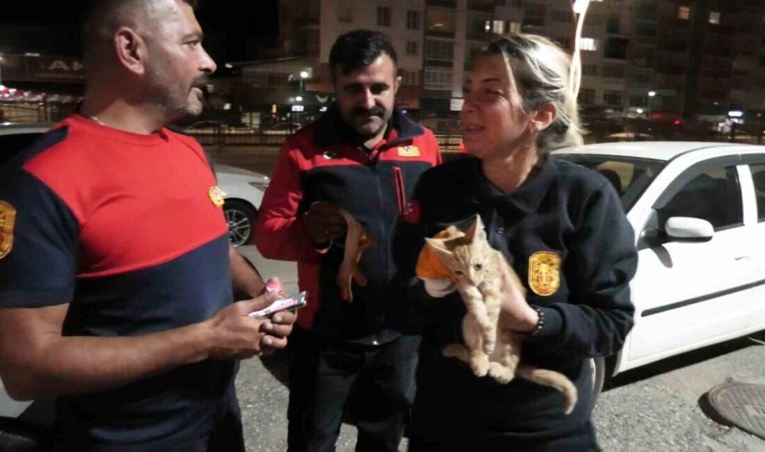 Yozgat’ta, Medrese Mahallesi’nde park halindeki bir aracın motor kısmında mahsur