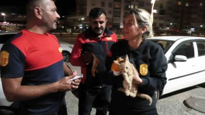 Yozgat’ta, Medrese Mahallesi’nde park halindeki bir aracın motor kısmında mahsur