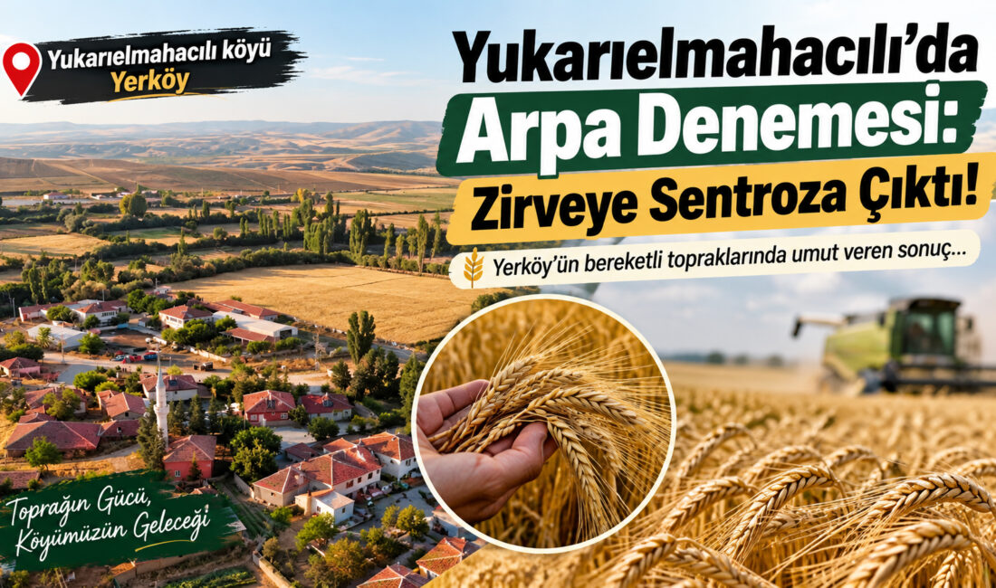 Tarım ve Orman Müdürlüğü, bölgedeki çiftçilerin doğru ve yüksek verimli
