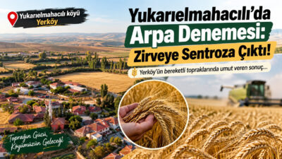 Tarım ve Orman Müdürlüğü, bölgedeki çiftçilerin doğru ve yüksek verimli