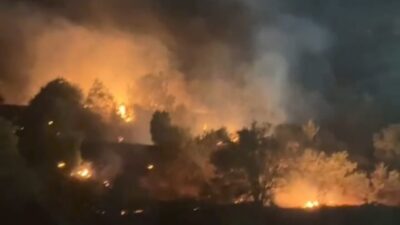 Hakkari’nin Yüksekova ilçesine bağlı Yeşiltaş köyünde meydana gelen ağaçlık alandaki