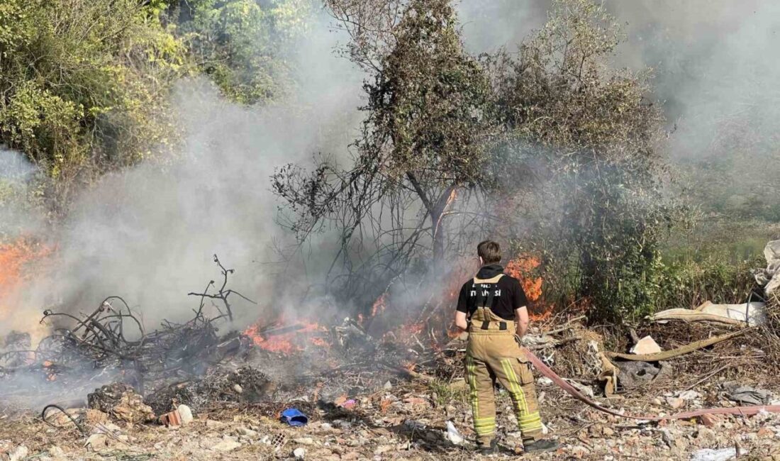 Bursa’nın Mudanya ilçesinde, ormanlık alanda çıkan ve çevredeki kuru ot
