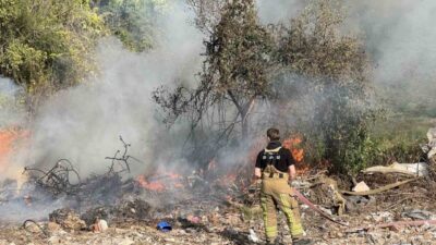 Bursa’nın Mudanya ilçesinde, ormanlık alanda çıkan ve çevredeki kuru ot