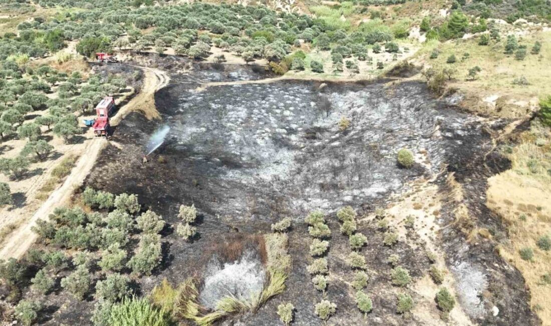 Hatay’da meydana gelen yangın, Antakya ilçesi Kisecik Mahallesi’nde bulunan bir