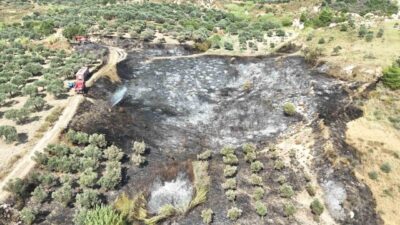 Hatay’da meydana gelen yangın, Antakya ilçesi Kisecik Mahallesi’nde bulunan bir