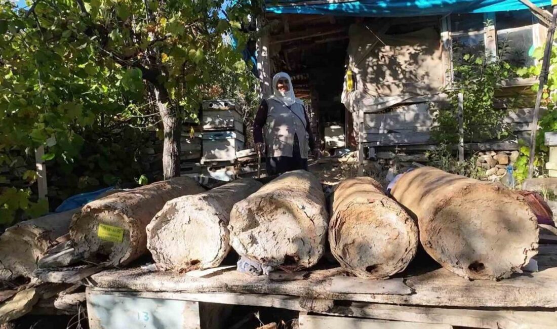 Yozgat’ın Çayıralan ilçesinde yaşayan 85 yaşındaki Hatice Orhan, ailesinden aldığı