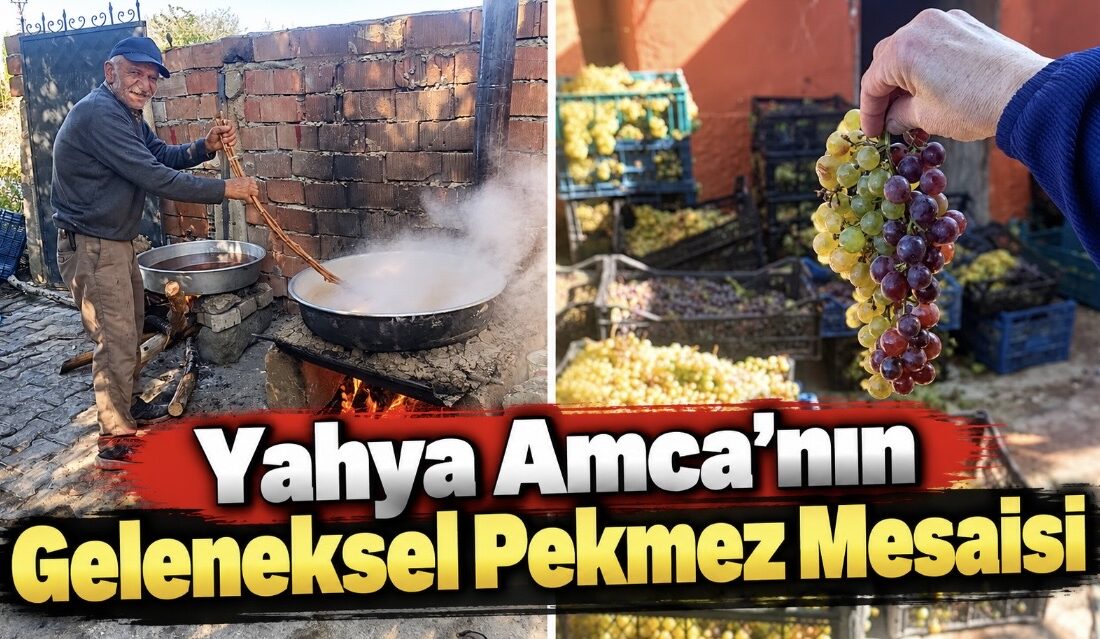 Dedeli köyünün bağlarında yetişen üzümler, geleneksel yöntemlerle şifa deposu pekmeze