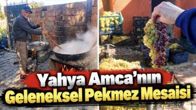 Dedeli köyünün bağlarında yetişen üzümler, geleneksel yöntemlerle şifa deposu pekmeze
