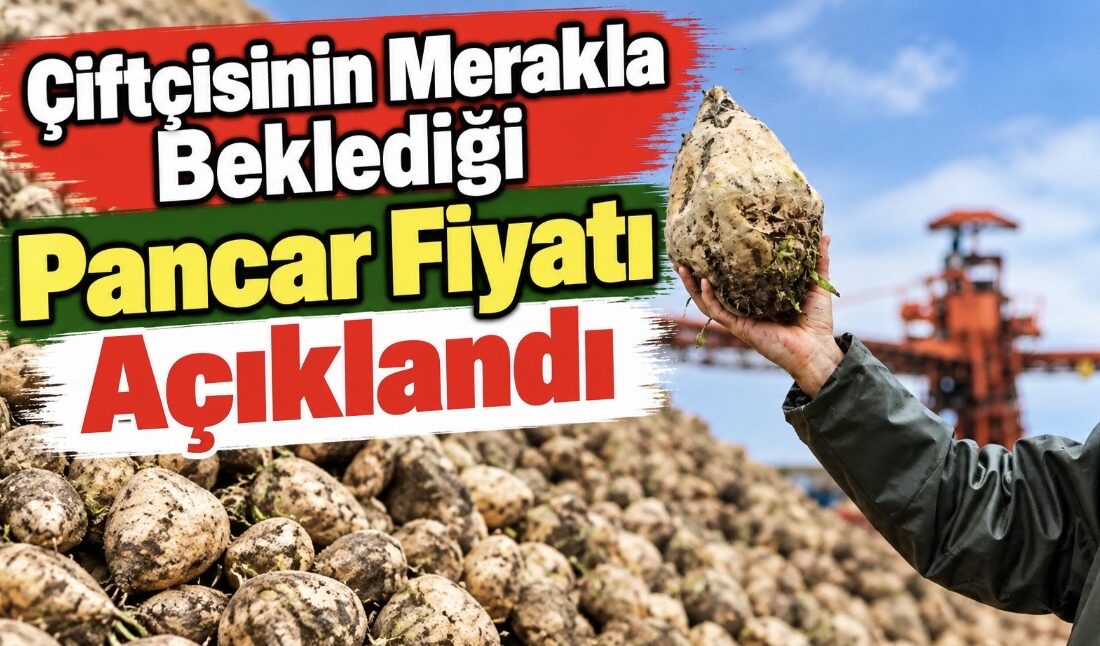 Tarım ve Orman Bakanlığı ile Türkiye Şeker Fabrikaları A.Ş. (TÜRKŞEKER),