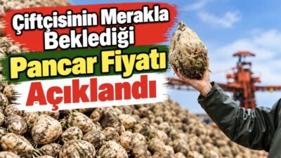 Tarım ve Orman Bakanlığı ile Türkiye Şeker Fabrikaları A.Ş. (TÜRKŞEKER),