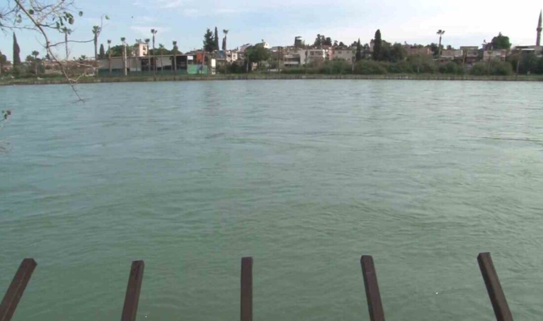 Adana’da iki gündür kayıp olarak aranan 48 yaşındaki Mustafa Akel’in