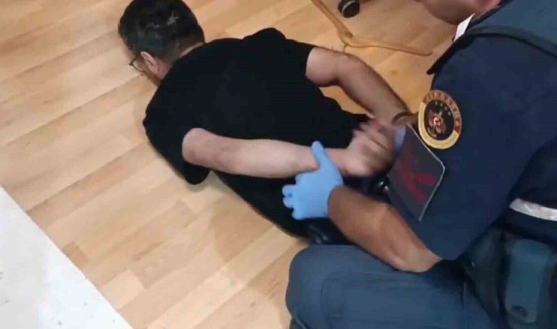 Adana’da Jandarma ekipleri tarafından gerçekleştirilen baskında, 138 kök skunk bitkisi