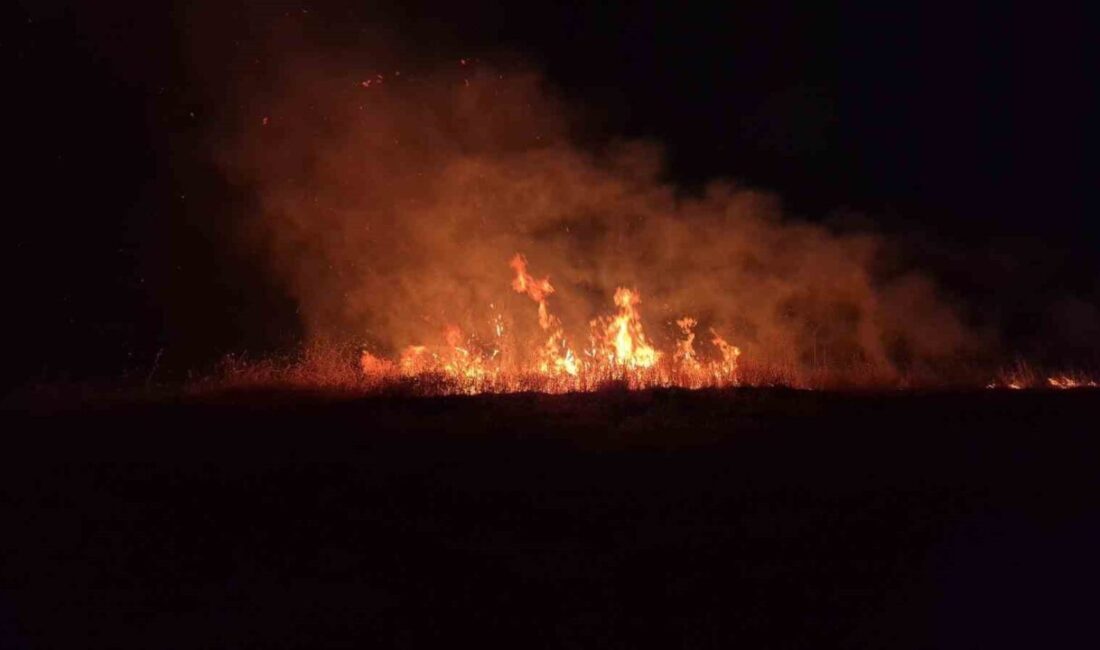Adıyaman’da anız yangınında birçok ağaç zarar gördü. Adıyaman-Kahta karayolu havalimanı