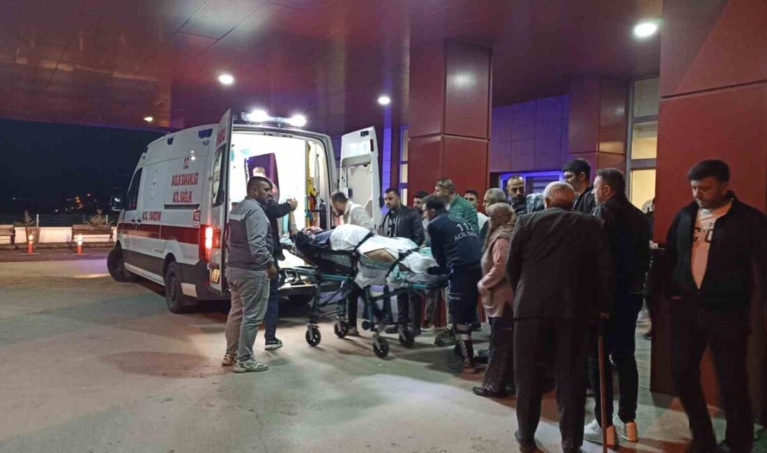 Samsun’un Havza ilçesinde, kardeşi tarafından tüfekle vurulan bir kişi yaralandı.