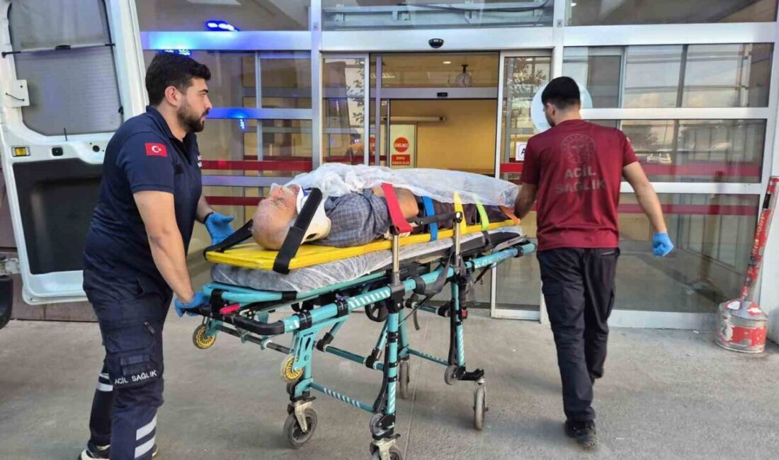 Adıyaman’da bir kişinin ağaç kesimi sırasında dengesini kaybedip düşmesi sonucu