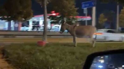 Bursa’da İzmir Yolu Caddesi’nde henüz kimliği tespit edilemeyen bir şahıs,