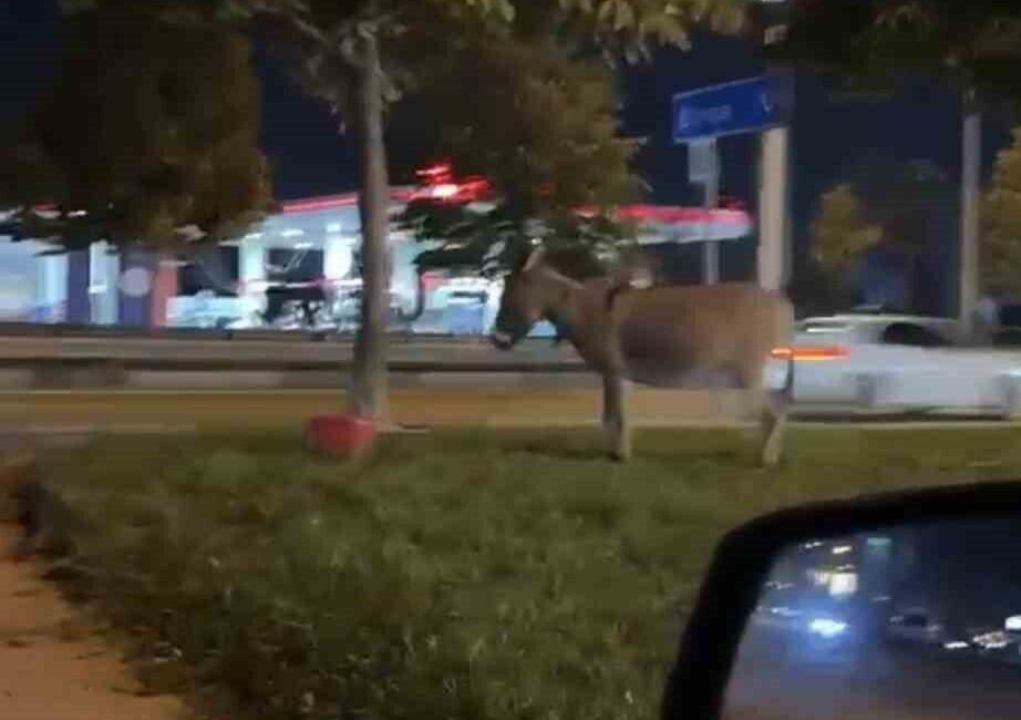 Bursa’da İzmir Yolu Caddesi’nde henüz kimliği tespit edilemeyen bir şahıs,