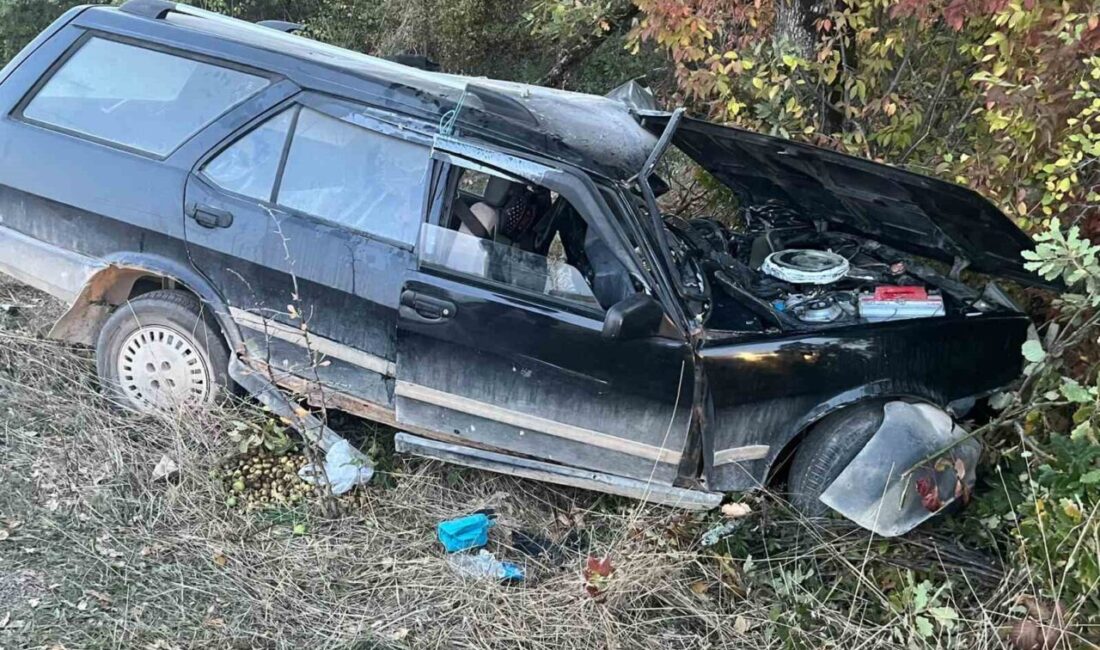 Karabük ilinde yaşanan bir trafik kazasında, aracın ağaca çarpması sonucu