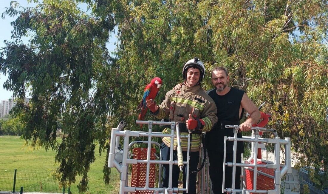 İskenderun ilçesinin Akçay Mahallesi’nde meydana gelen olayda, kafesinden kaçan bir