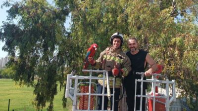 İskenderun ilçesinin Akçay Mahallesi’nde meydana gelen olayda, kafesinden kaçan bir