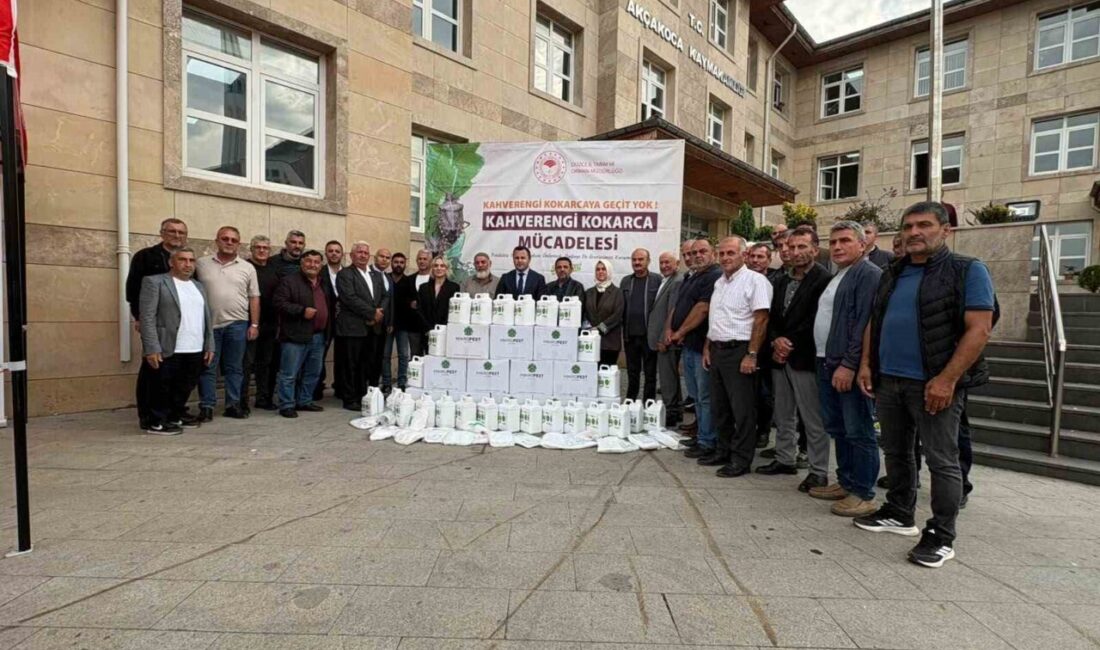 Kahverengi kokarca zararlısının fındık üreticileri için büyük bir endişe kaynağı