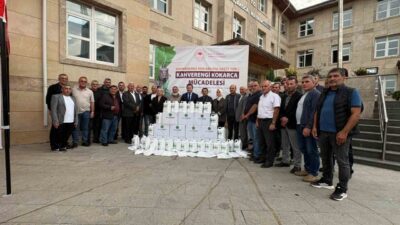Kahverengi kokarca zararlısının fındık üreticileri için büyük bir endişe kaynağı