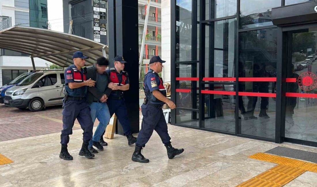 Alanya ilçesinde yaşanan olayda, iki kuşa yönelik vahşi eylemleri cep