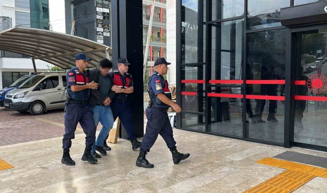 Alanya ilçesindeki bir birey, canlı kuşlara yönelik işlediği zalimane davranışları