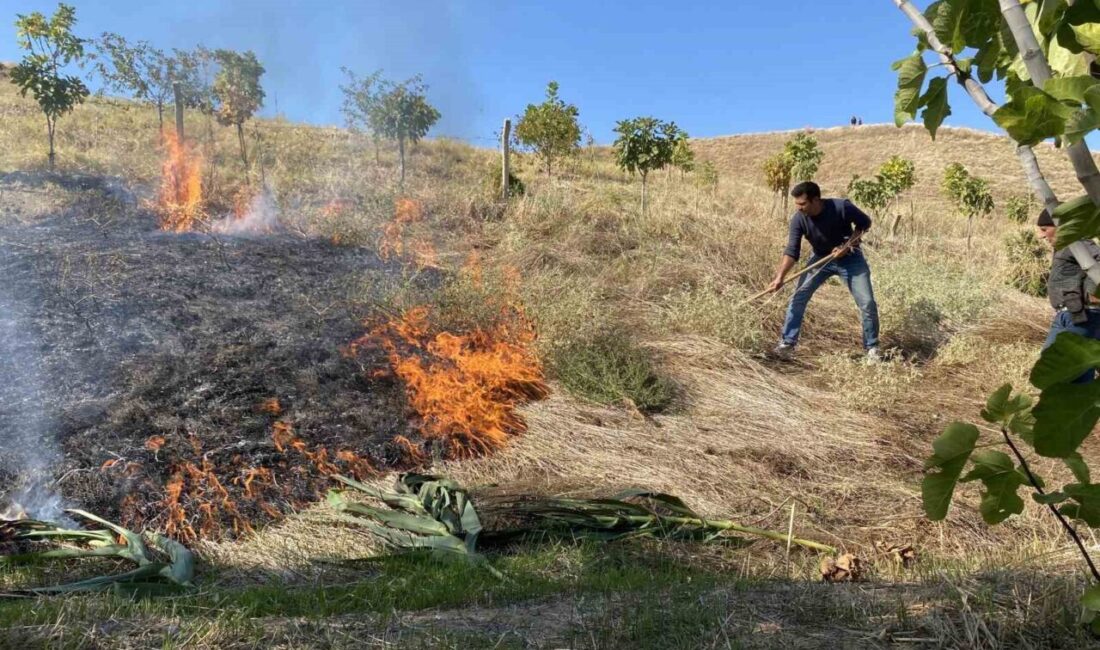 Manisa’nın Alaşehir ilçesinde çıkan ot yangını, rüzgarın etkisiyle hızla büyüyerek