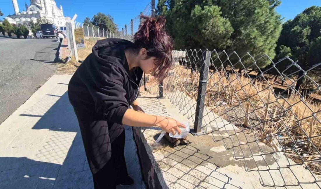 Tekirdağ’ın Süleymanpaşa ilçesinde, çalılık bir alanda başlayan yangında mahsur kalan