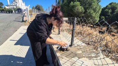 Tekirdağ’ın Süleymanpaşa ilçesinde, çalılık bir alanda başlayan yangında mahsur kalan