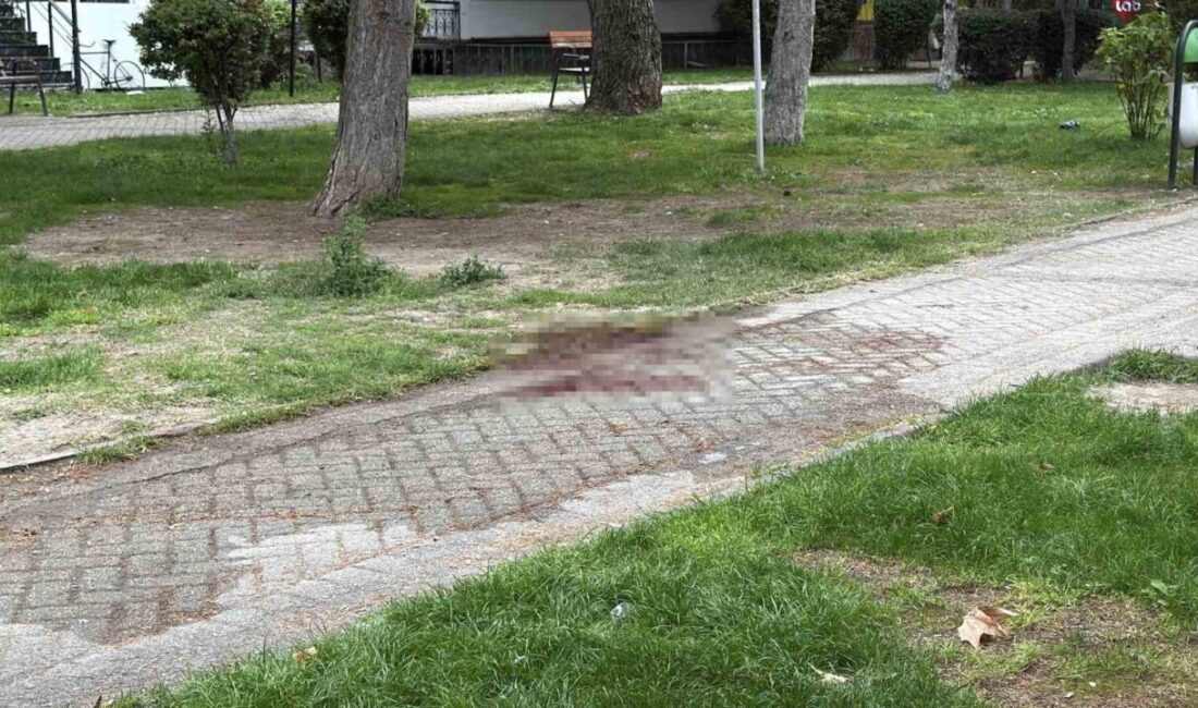 Eskişehir’de gerçekleşen olayda, bir kişi ağır yaralandı ve kaçan şüpheli