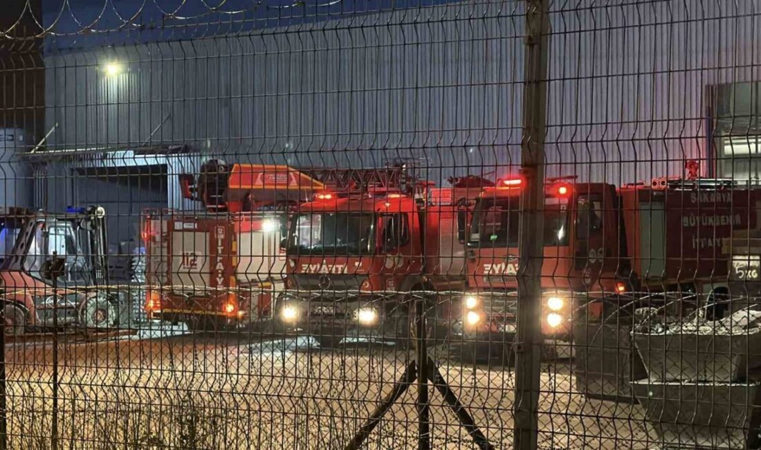 Sakarya ilinde bulunan Akyazı ilçesinde faaliyet gösteren ASAŞ Alüminyum fabrikasının