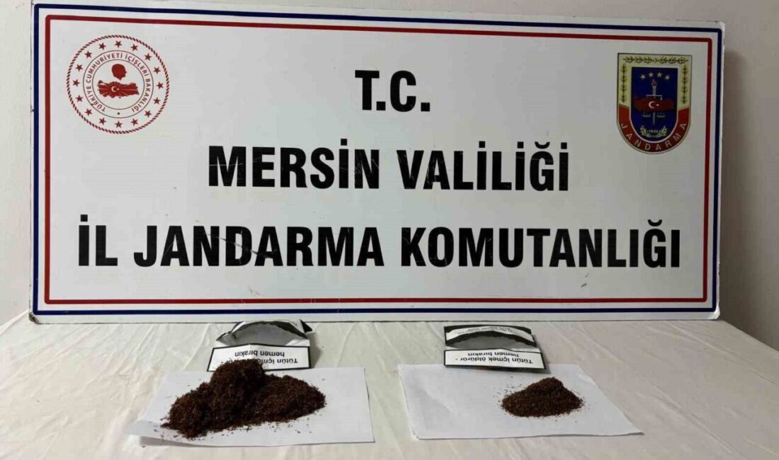 Mersin’in Anamur ilçesinde jandarma ekipleri, son bir hafta içinde gerçekleştirdikleri